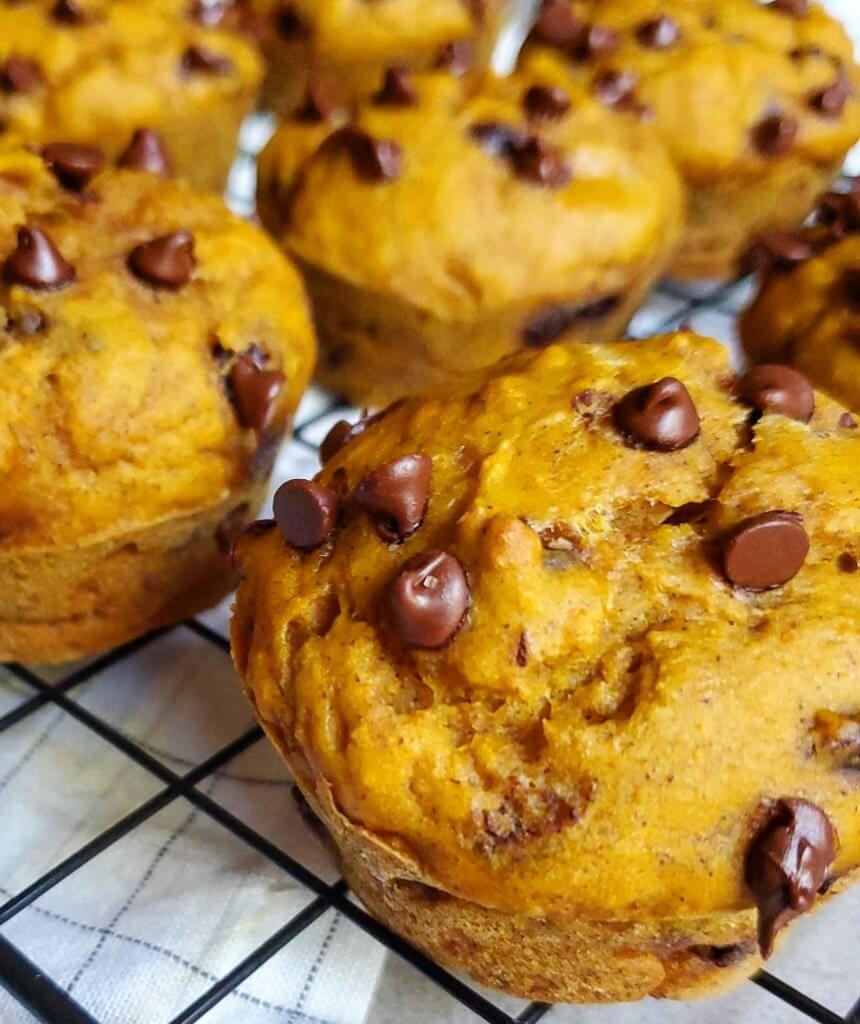 Pumpkin Chocolate Chip Muffin Tops – Lemon Tree Dwelling